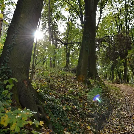 Apartman Kralj * Banja Koviljaca